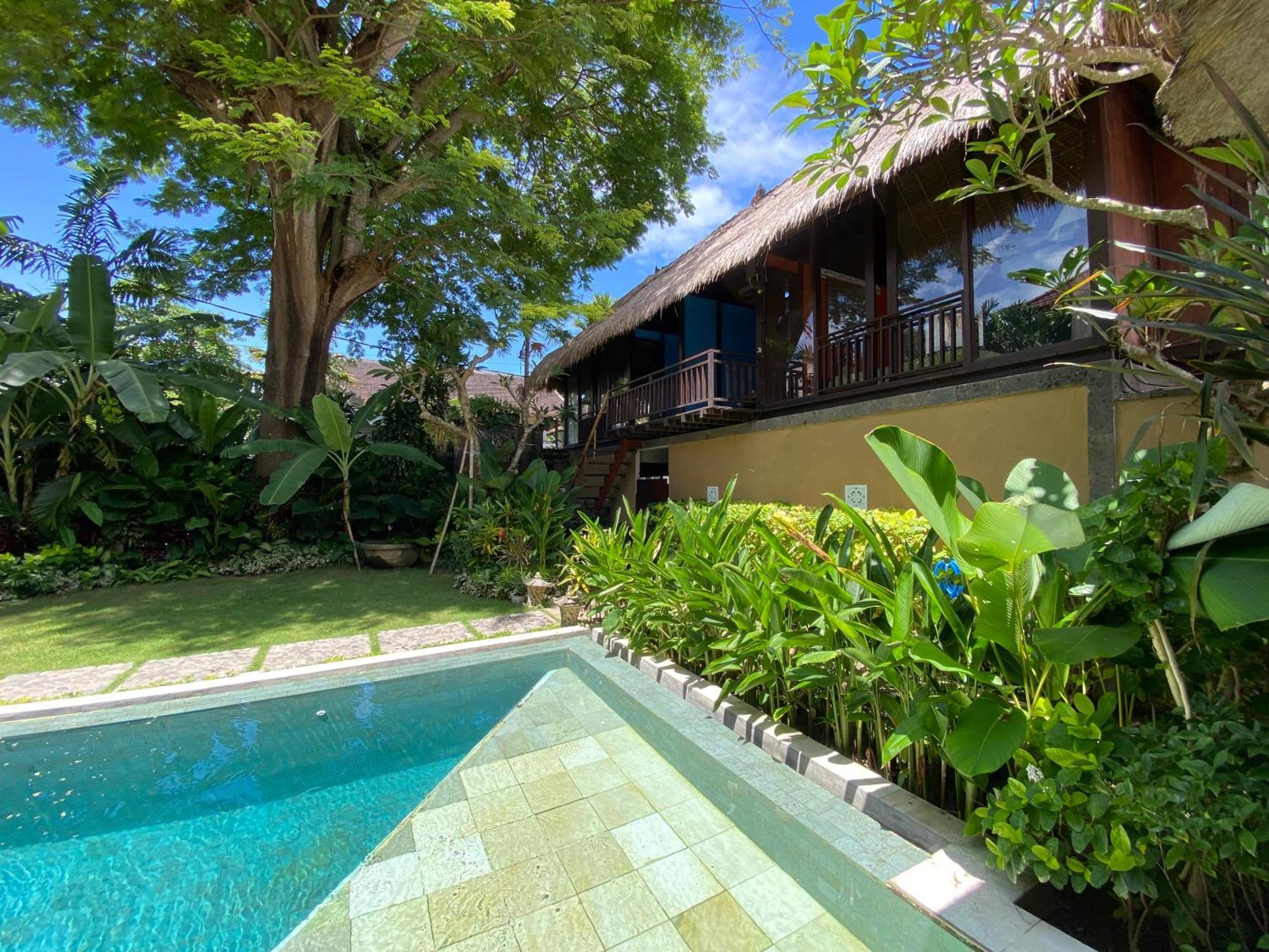 Hotel Little Tree House Sanur Habitación foto
